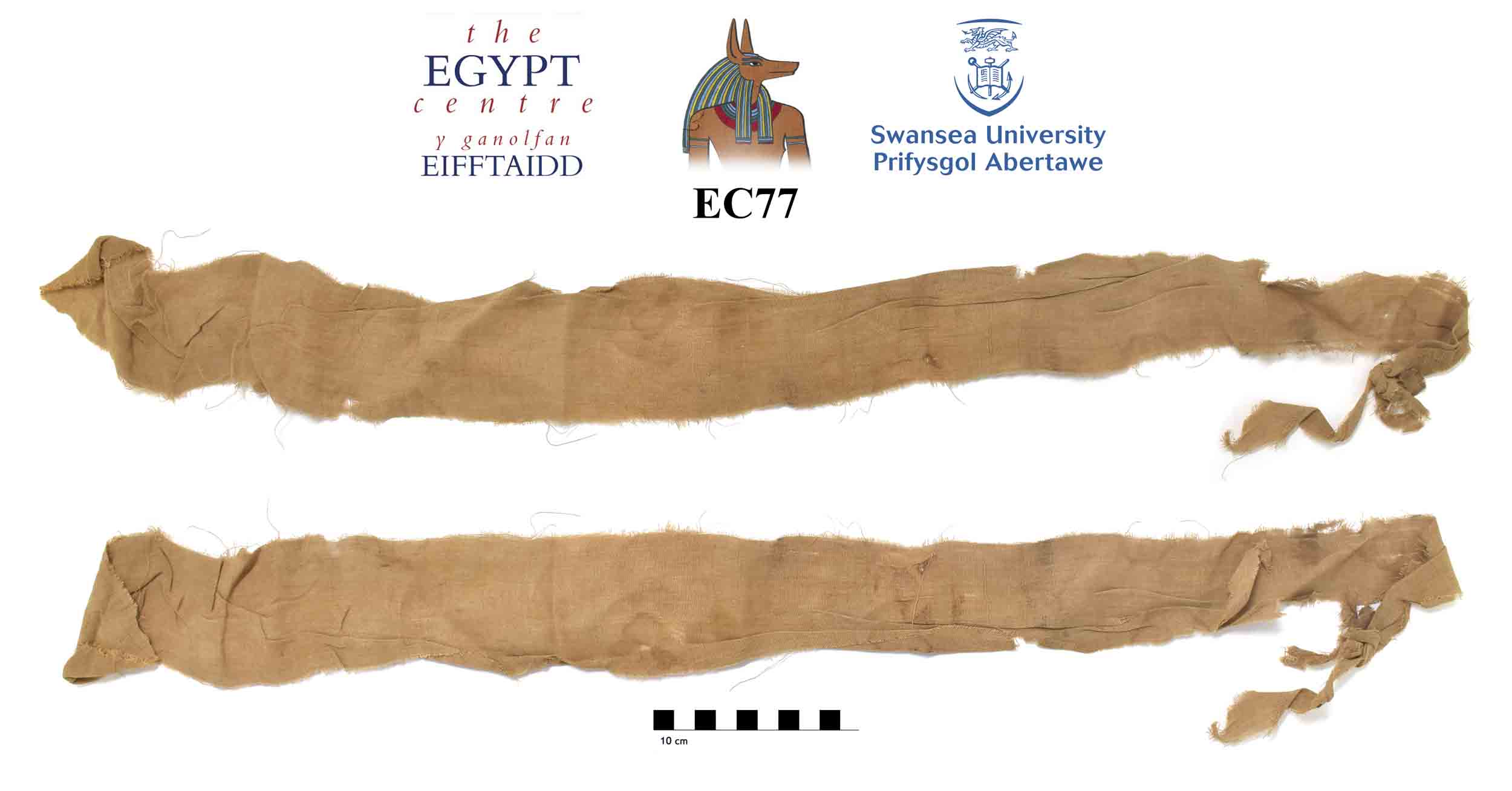 Image for: Fragment of mummy wrapping